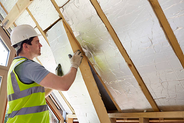 Best Cellulose Insulation in Glendive, MT