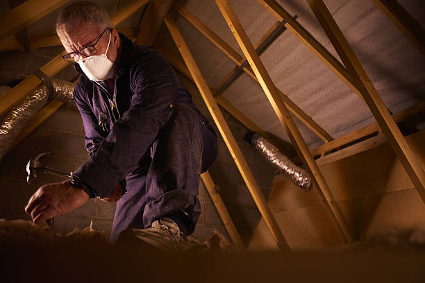 Best Eco-Friendly Insulation in Glendive, MT